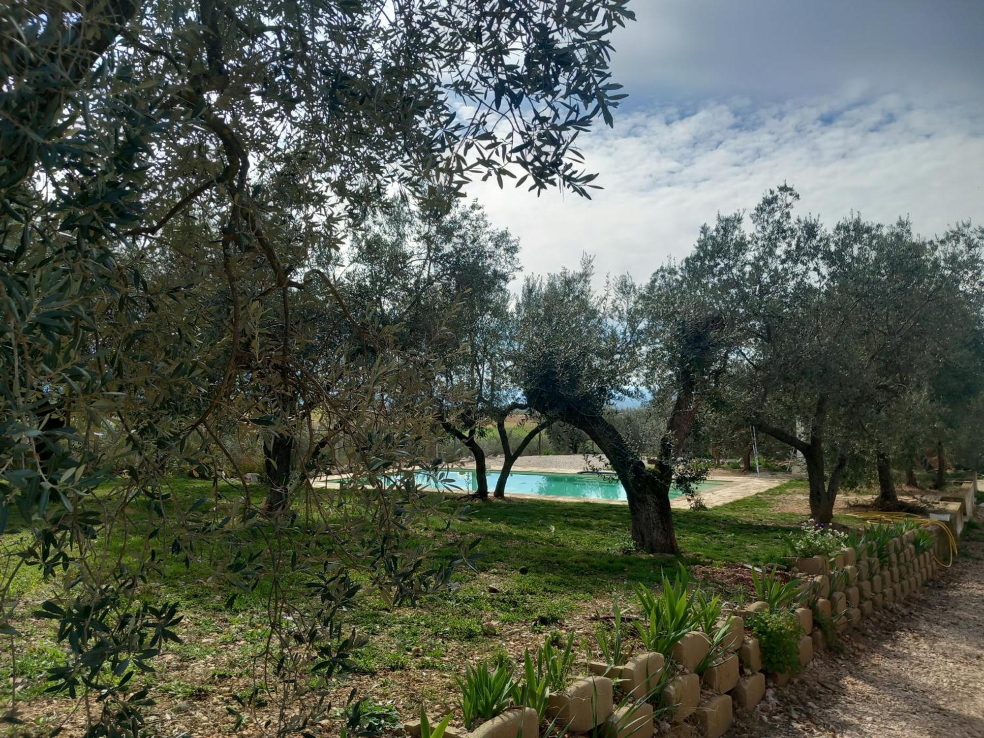 Agriturismo Uliveto Benedetti Spoleto Zewnętrze zdjęcie