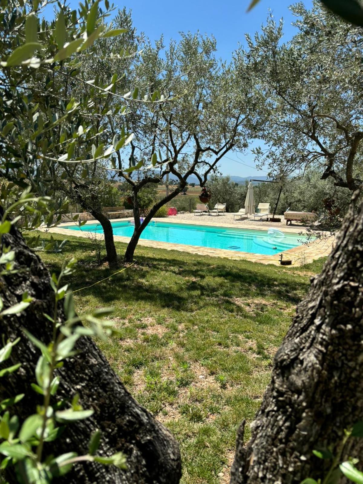 Agriturismo Uliveto Benedetti Spoleto Zewnętrze zdjęcie