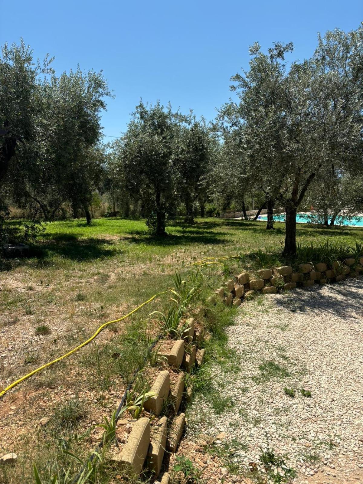 Agriturismo Uliveto Benedetti Spoleto Zewnętrze zdjęcie